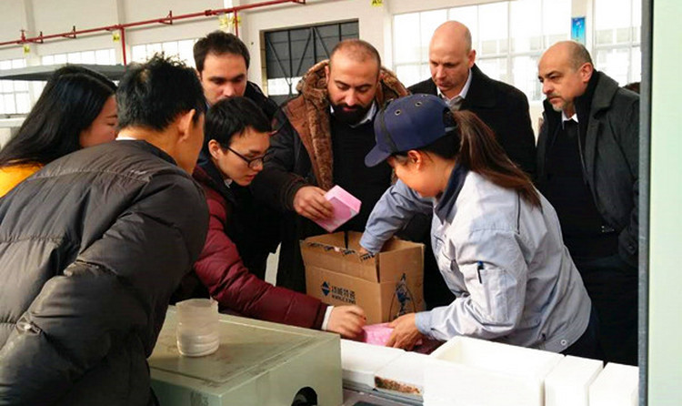 永利集团·304am(中国游)官方网站